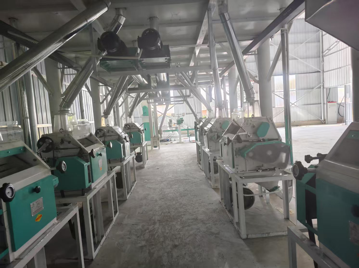 內(nèi)蒙通遼開(kāi)魯縣40噸面粉機(jī)生產(chǎn)線